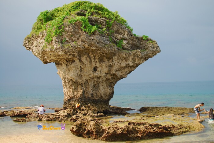 小琉球花瓶岩